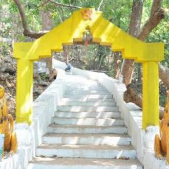 ଗୋନାସିକା